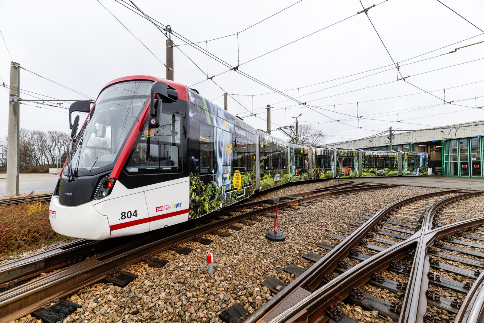 Seitenansicht einer Bahn des Thüringer Waldquells