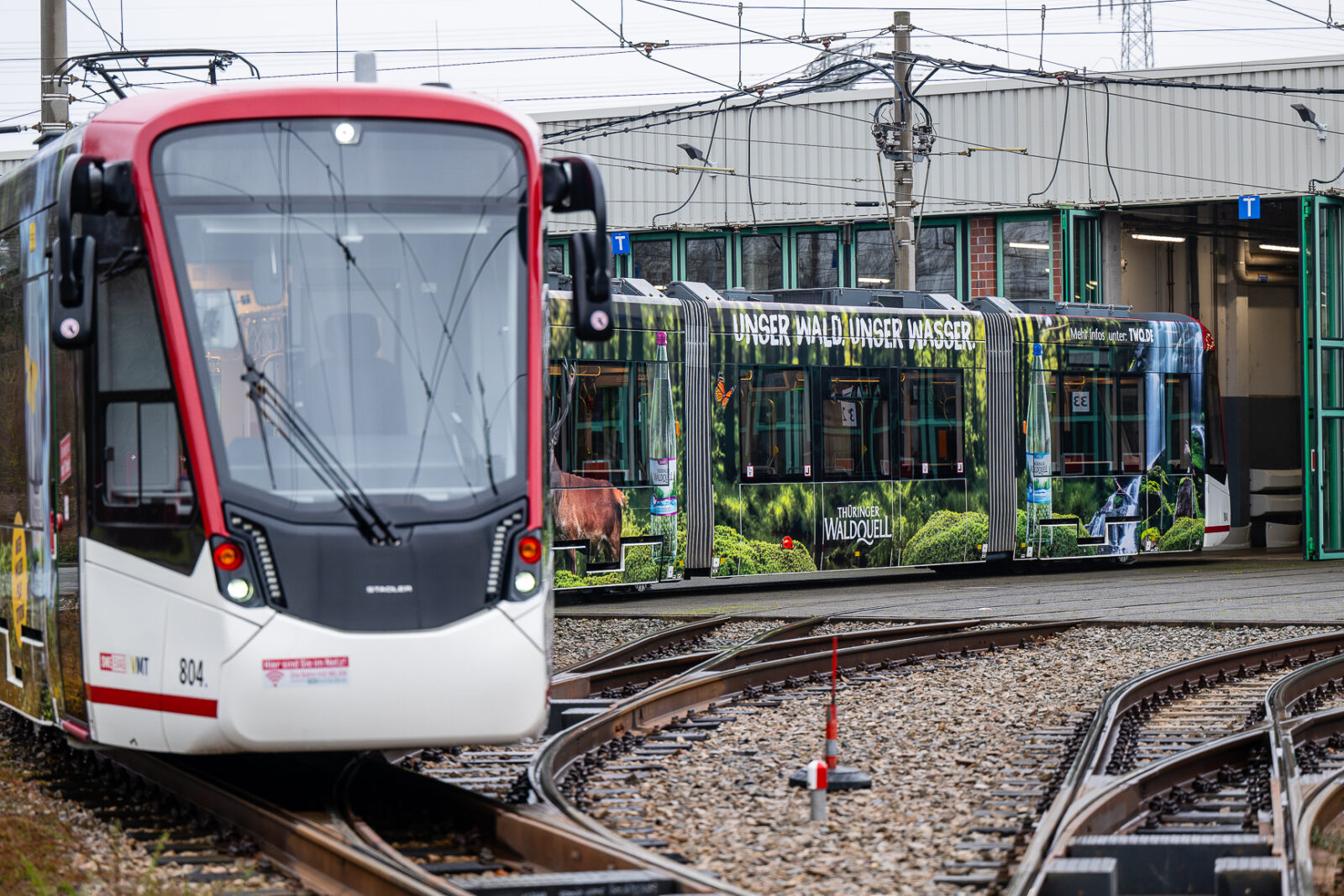 Frontansicht einer roten Straßenbahn mit Waldmotiven