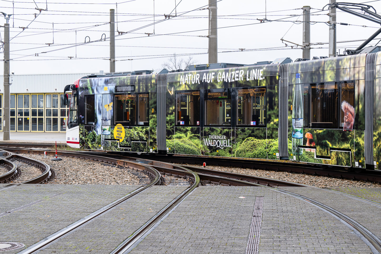 Seitenansicht einer Straßenbahn mit verschiednen Waldmotiven 