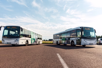 Zwei Busse stehen auf einem Parkplatz, im Hintergrund ist ein blauer Himmel zu sehen
