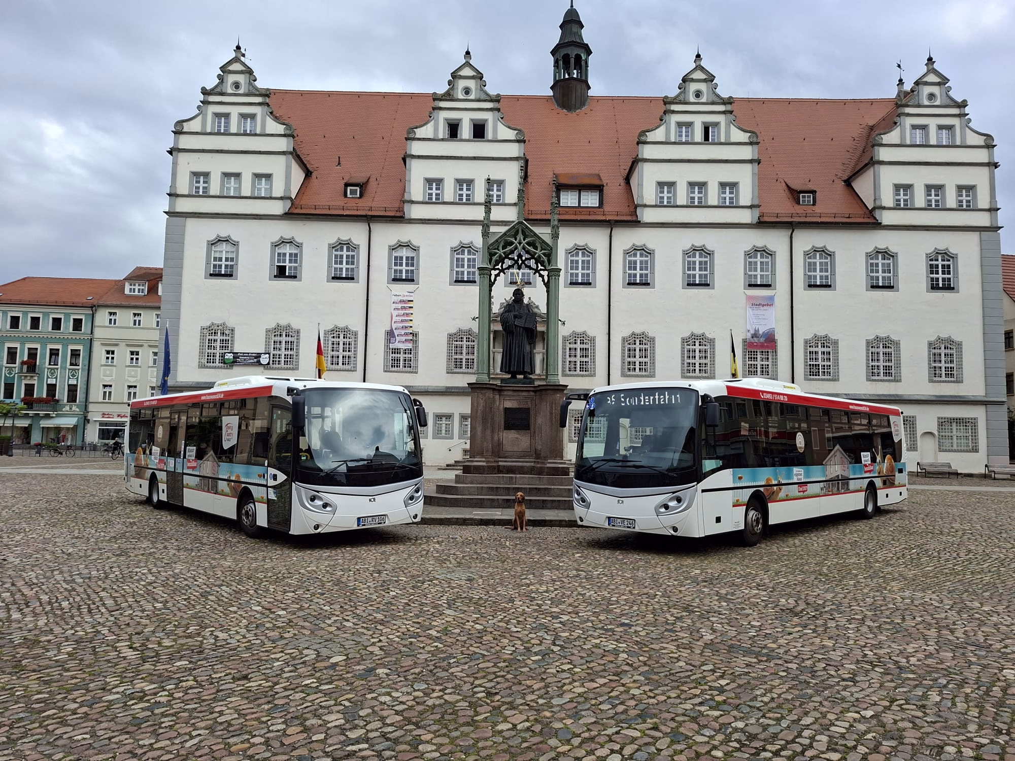 Zwei weiße Busse stehen auf einem Marktplatz vor einem weißen Fachwerkgebäude