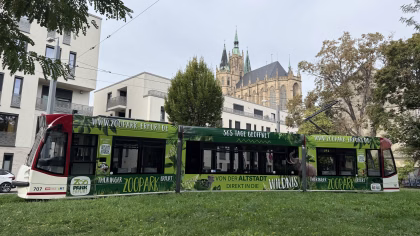 Seitenansicht einer grünen Straßenbahn mit Werbung des Zoos aus Erfurt